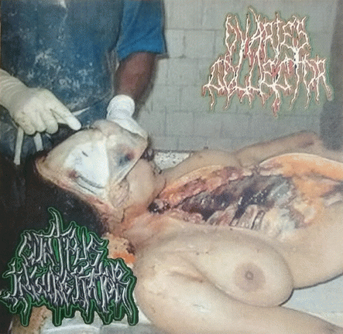 Cunt Pus Ingurgitator : Cunt Pus Ingurgitator - Ovaries Collector